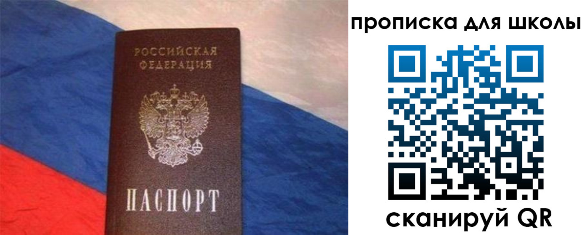 прописка поиск в Мариинском Посаде
